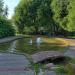 Пруд с фонтаном и каналом (ru) in Dmitrov city