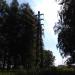 Опора ЛЭП в городе Павловский Посад