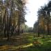 Просека воздушной линии 6 кВ в городе Тверь