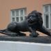 Лев в городе Петрозаводск