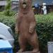 Медведь в городе Петрозаводск