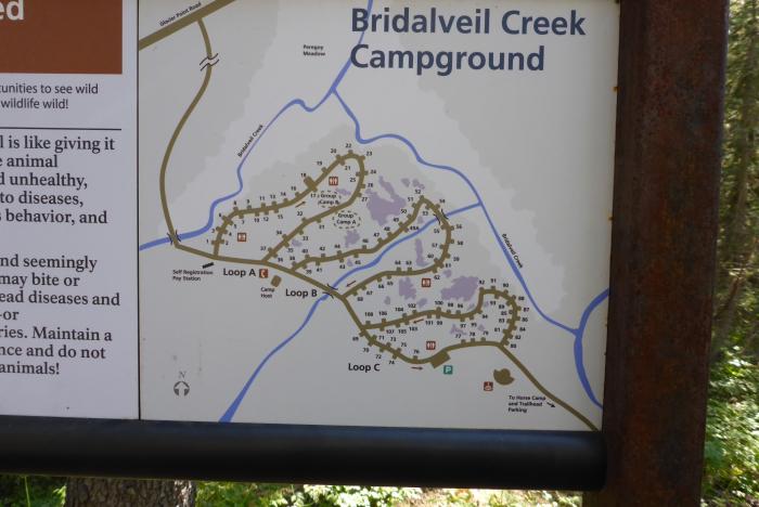 Bridalveil Creek Campground Map Bridalveil Creek Campground