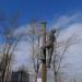 Памятник монтёру, спасающему кошку в городе Великий Новгород