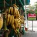 Sabarimala Organic in Thiruvananthapuram city