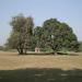 Qadam-e-Rasool in Lucknow city