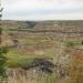 Horseshoe Canyon