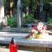 Quarter 226 in Warsaw city