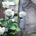 The tomb of Kazimiera Lubowiecka in Warsaw city