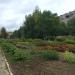 Клумба в городе Йошкар-Ола