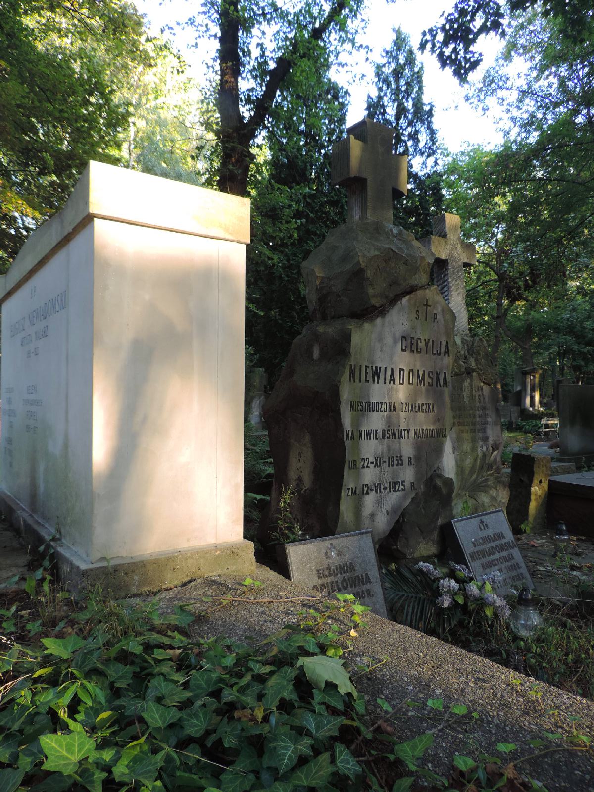 Podanie O Popielu Cecylia Niewiadomska The tomb of Cecylia Niewiadomska - Warsaw