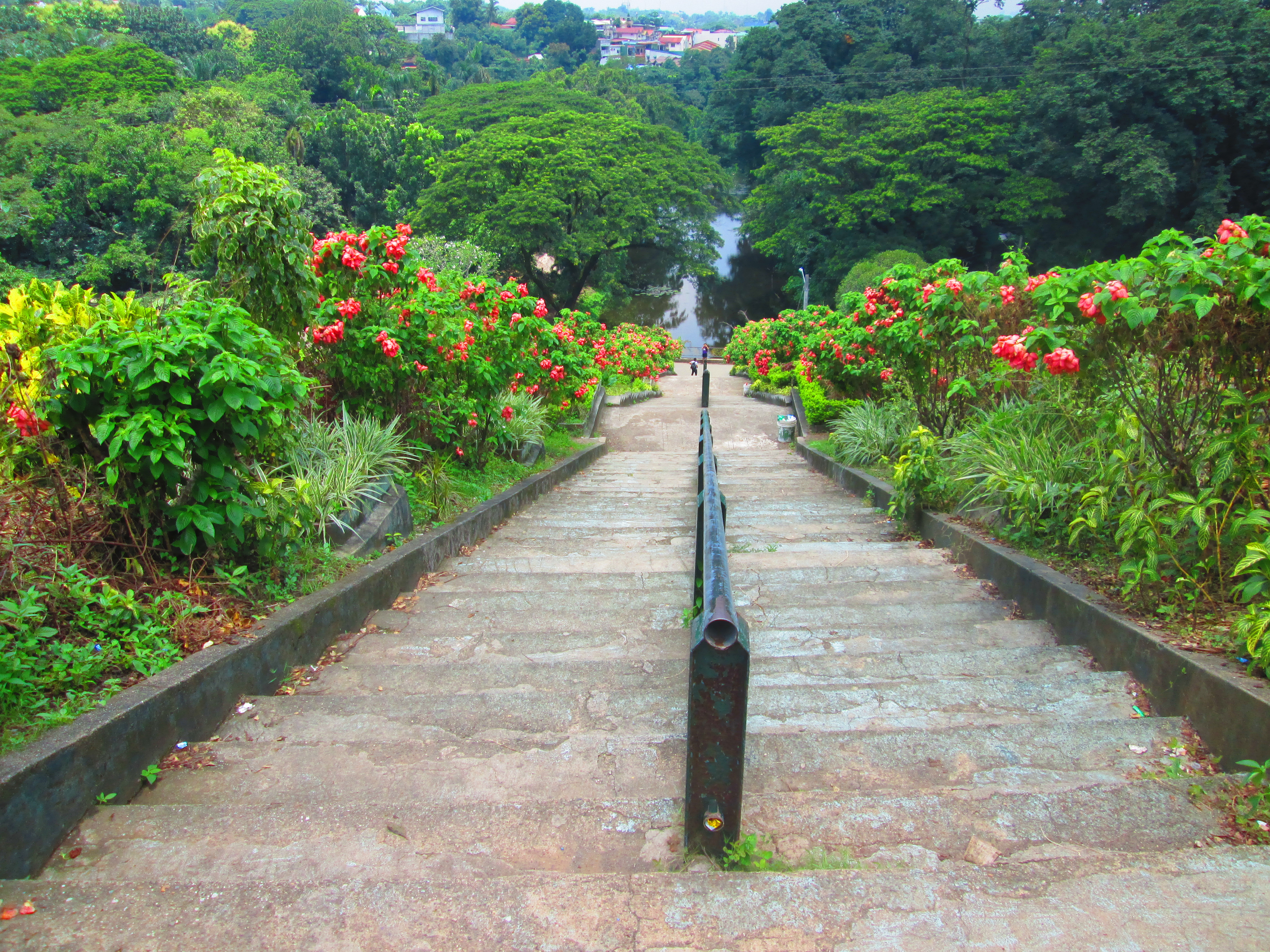 La Mesa Eco Park Quezon City