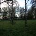Берёзовая роща в городе Ям-Ижора