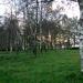 Берёзовая роща в городе Ям-Ижора
