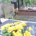 The tomb of Agnieszka Osiecka in Warsaw city