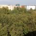 Роща в городе Череповец