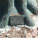 Пам'ятник лелекам в місті Тернопіль