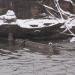 Затонувшее неопознанное судно в городе Дзержинский