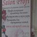 Магазин Salon Profi в місті Чернігів