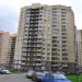 Арсенальная ул., 2 в городе Новое Девяткино