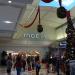 Macy's in San Jose, California city