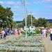 Подвесное цветочное кашпо в городе Каменск-Шахтинский