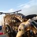 Инсталляция «Призрачный гонщик» в городе Каменск-Шахтинский