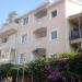 Guesthouse Vin in Budva city