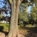 Park przy al. Ireny Sendlerowej in Warszawa city