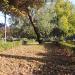 Park przy al. Ireny Sendlerowej in Warszawa city