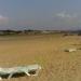 Пляж «Афалина»