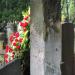 The tomb of Sitkowski family in Warsaw city