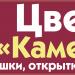 Магазин цветов «Камелия» (ru) in Buy city
