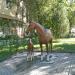 Лошадь с жеребенком в городе Алматы