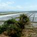 Salt Pan 1, Panchu Island