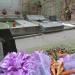 The tomb of Maria Grzegorzewska in Warsaw city