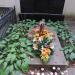 The tomb of Stanisław Wojciechowski in Warsaw city