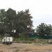 Буковая ул., 12а в городе Владивосток