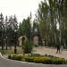 Клумба в городе Новая Каховка