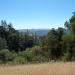 Henry W. Coe State Park