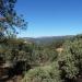 Henry W. Coe State Park