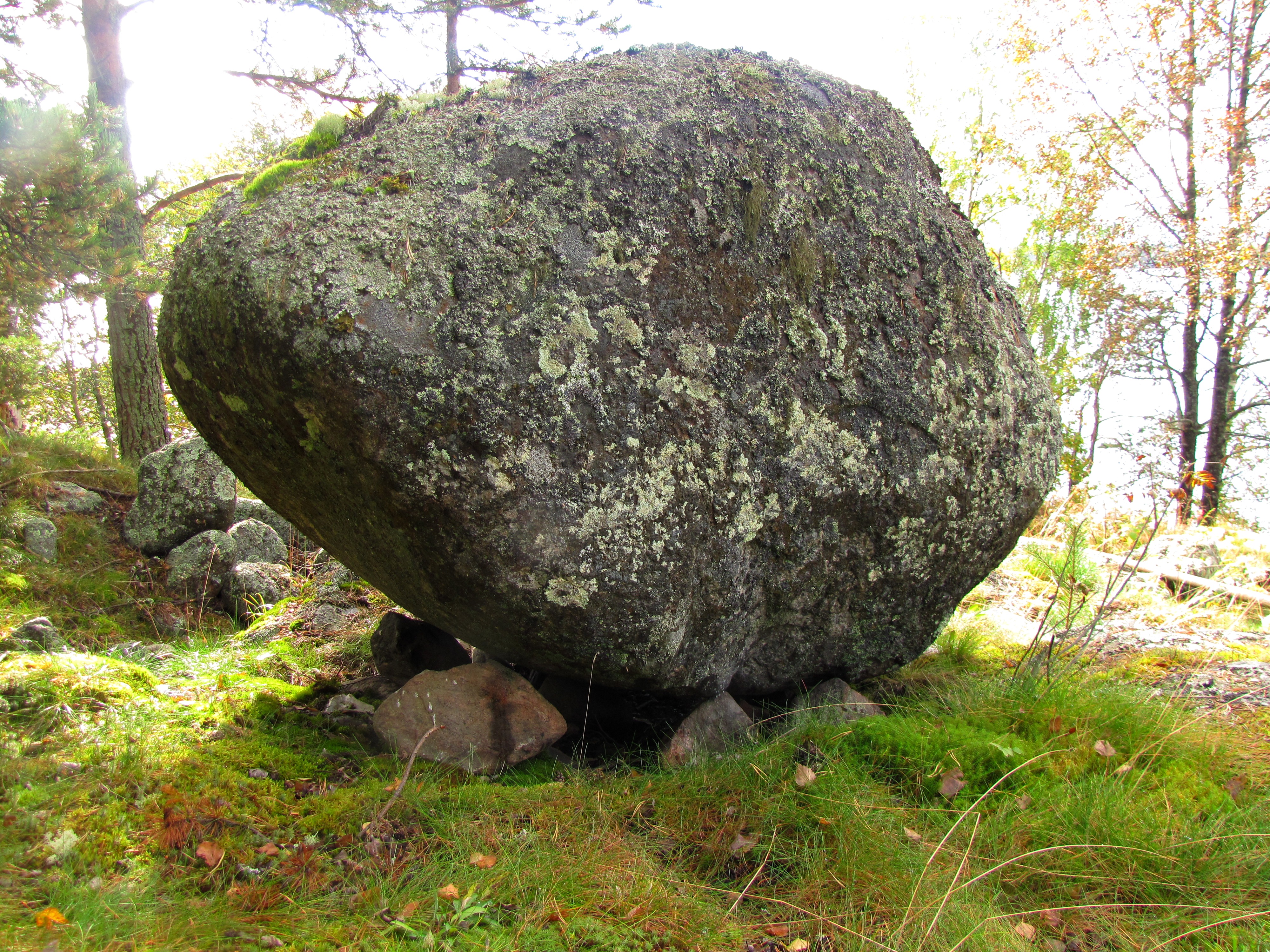 Камень Мегалит в Ленинградской
