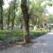 Парк «Чистяковская роща» (Первомайский парк) в городе Краснодар