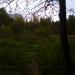 Мокрый луг в городе Москва