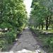 Поперечная аллея в городе Каменск-Шахтинский