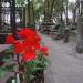 Quarter 157 in Warsaw city