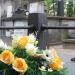 The tomb of Zdzisław Maklakiewicz in Warsaw city