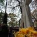 The tomb of Barbara Krupka in Warsaw city