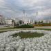 Flower bed in Viciebsk (Vitebsk) city