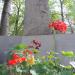 The tomb of Michał Redo in Warsaw city