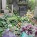 The tomb of Franciszka Otylia Stark in Warsaw city